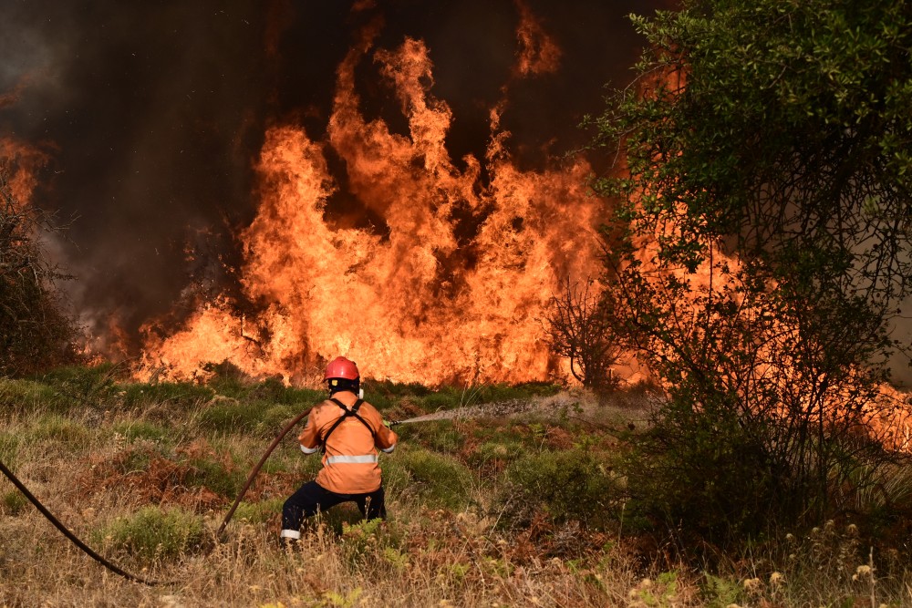 Κλιματική αλλαγή: Η υπερθέρμανση του πλανήτη ευθύνεται για την αύξηση των θανάτων από δασικές πυρκαγιές