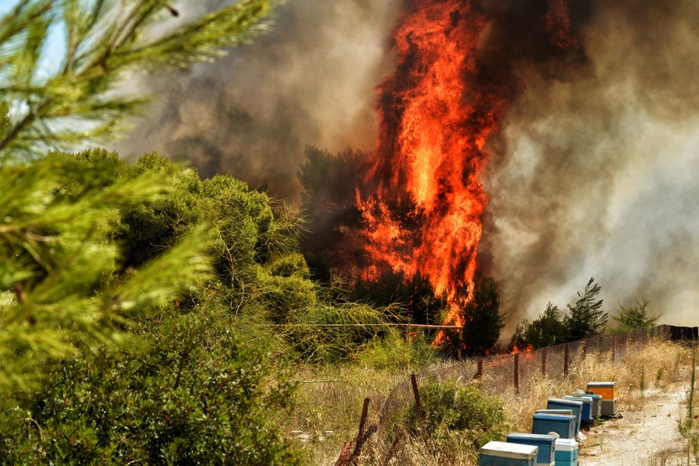 Συνεχίζεται η μάχη με τις φλόγες στις Κεχριές Κορινθίας (vid)