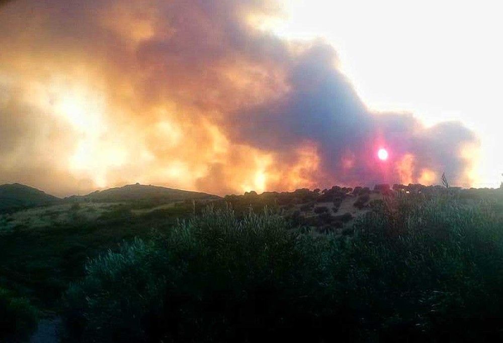 Βασιλειάδης: Ο Καπέλιος πήρε τα εναέρια και τα πήγε στο χωριό του