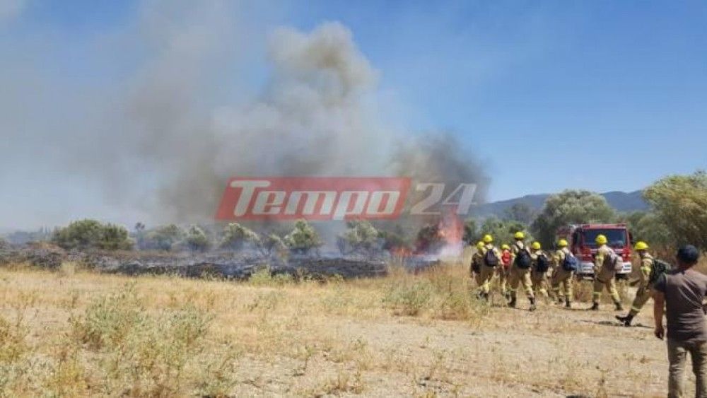 Φωτιά στην Κάτω Αχαΐα:Ισχυρές δυνάμεις στην περιοχή  (vid)