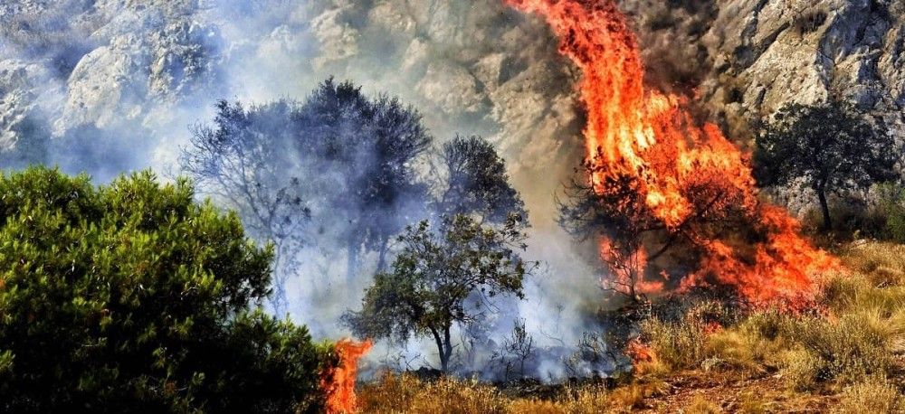 Πολύ υψηλός ο κίνδυνος πυρκαγιάς αύριο (1&#x2F;8) σε τρεις περιφέρειες