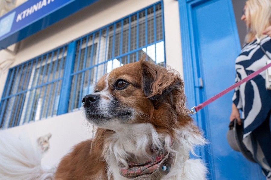 Η Αθήνα απέκτησε το πρώτο δημοτικό κτηνιατρείο (Φωτο)